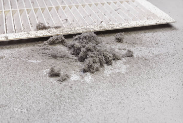 Best Ventilation Cleaning Services  in Kinnelon, NJ