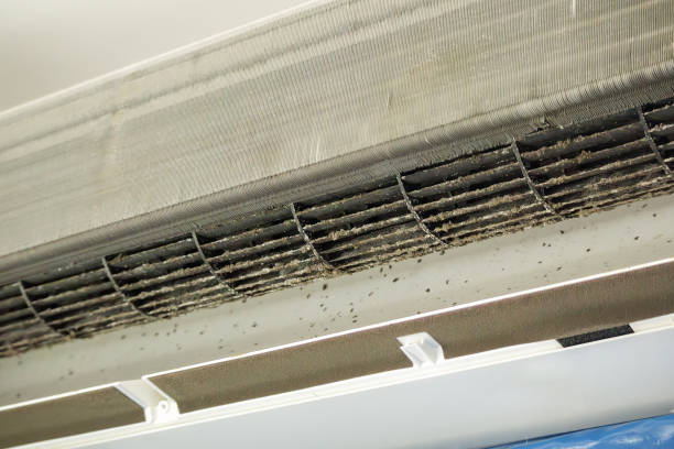 Best Air Duct Cleaning Near Me  in Kinnelon, NJ